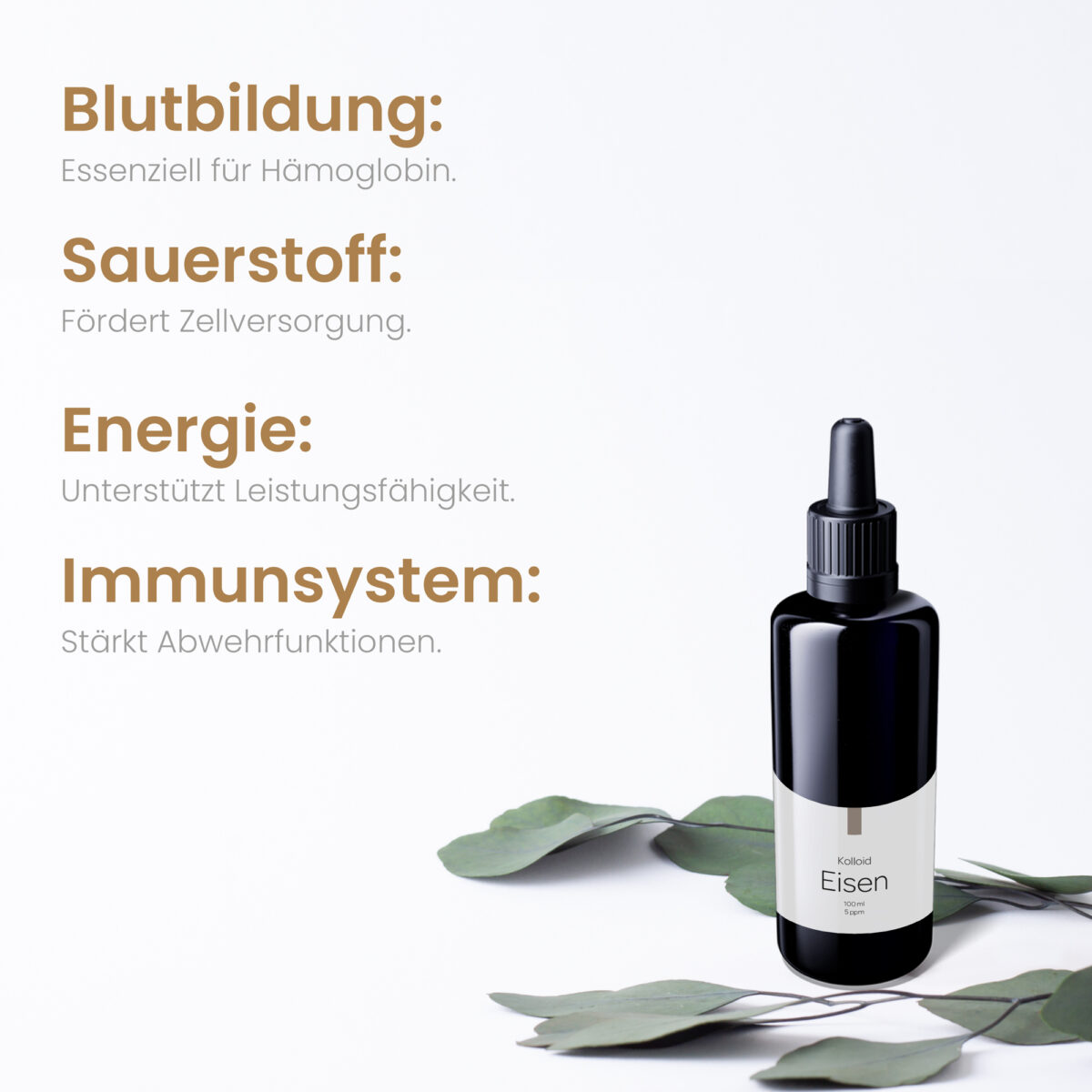 Vorteile von kolloidalem Eisen als Textgrafik: Blutbildung, Sauerstoffversorgung, Energie, Immunsystem